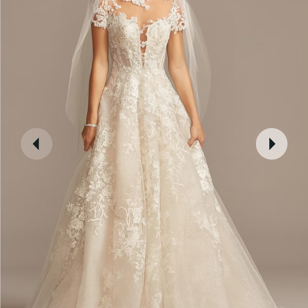 Oleg Cassini Ball Gown